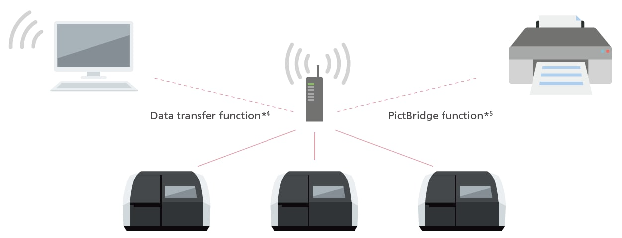 Network Connectivity Function